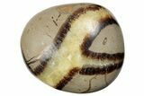 1.5" Tumble Polished Septarian Stones - Photo 4